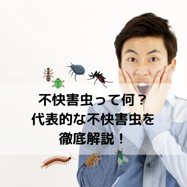 不快害虫って何？代表的な不快害虫を徹底解説！