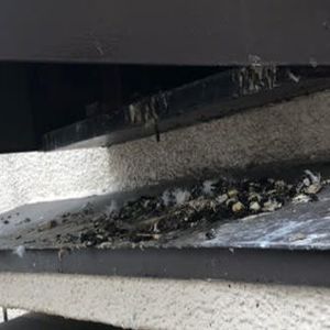 鳥のふん被害でアレルギーが心配の方。ご相談・対策は神奈川の害鳥駆除業者まで