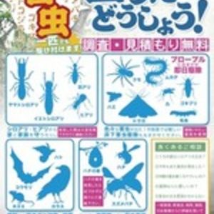害虫駆除は横浜でも親しまれている害虫専門業者の当社へお任せください