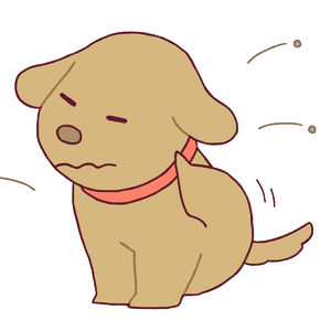 ノミの人間への危害とは！？