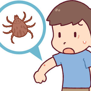 やってはいけないノミ予防と対策！｜神奈川