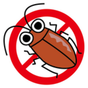 冬なのにゴキブリ！？こんなところに潜んでます。