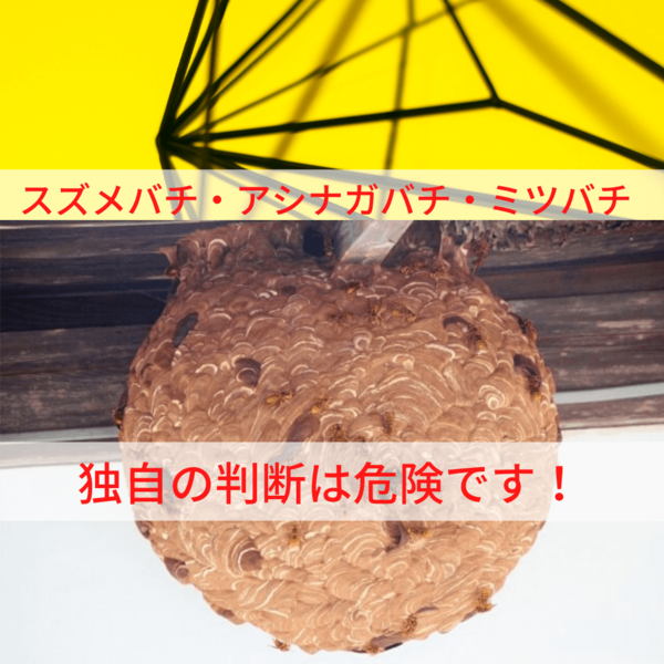 ハチ駆除！スズメバチ、アシナガバチ、ミツバチなど独自の判断は危険です。