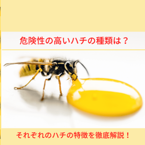 危険性の高いハチの種類は？それぞれのハチの特徴を徹底解説！
