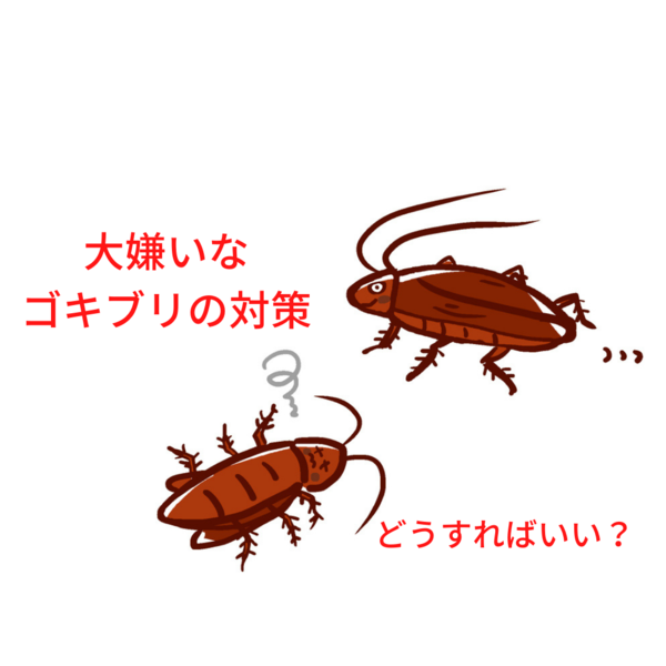 害虫の代表格といえばやっぱりゴキブリ！大嫌いなゴキブリの対策はどうすればいい？