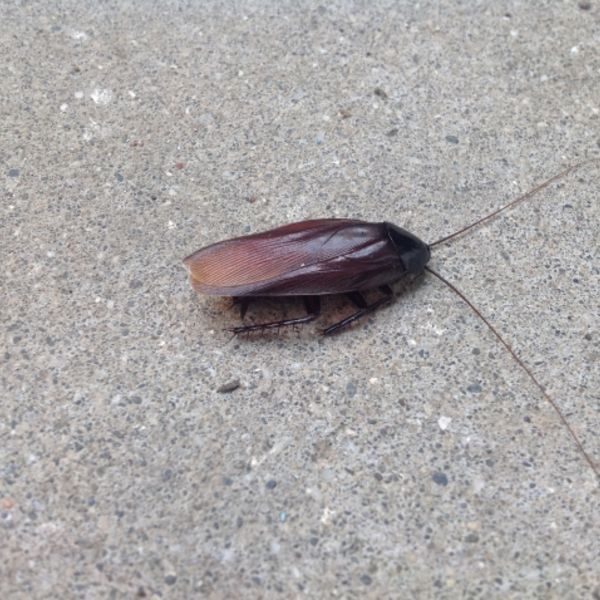 今年こそ！絶対に会いたくないアイツ②