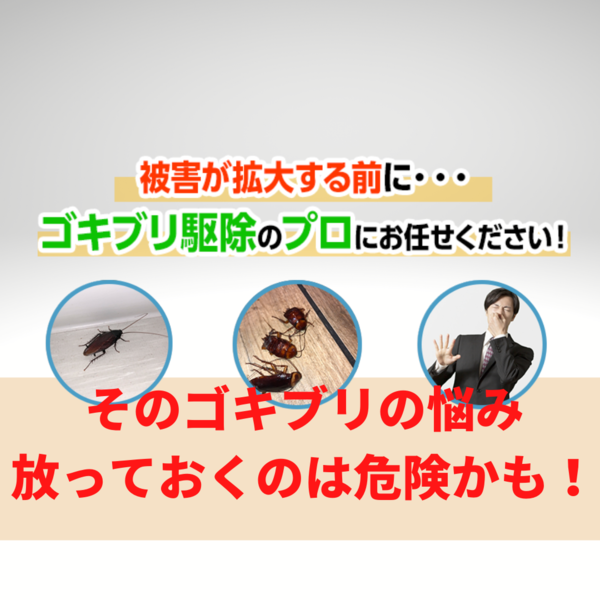 ゴキブリ