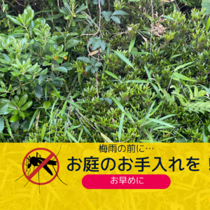 蚊を家に入れない方法ってある？誰でもできる簡単なコツを解説！