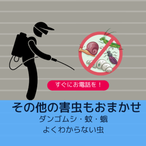 その他の虫はこちら。