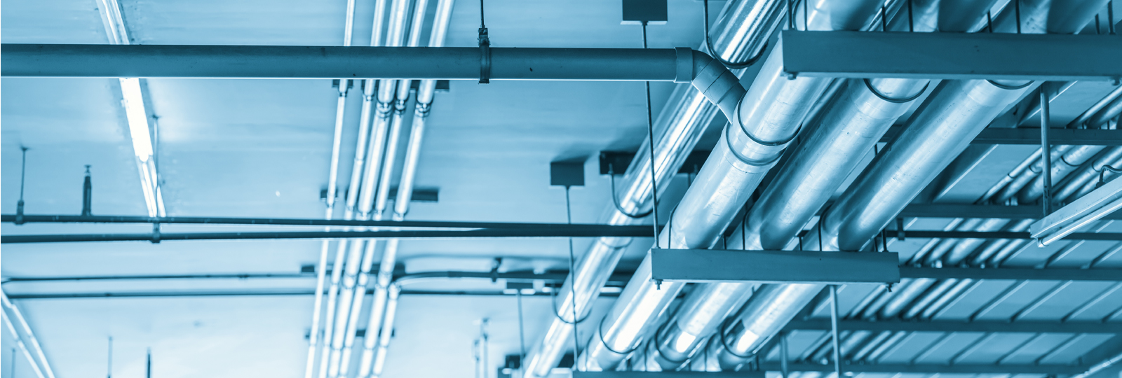 製造工場の配管や照明の衛生リスク