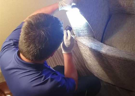 今すぐ駆除とは業界では、スポット駆除とも呼ばれ急いで駆除をするサービスのことです