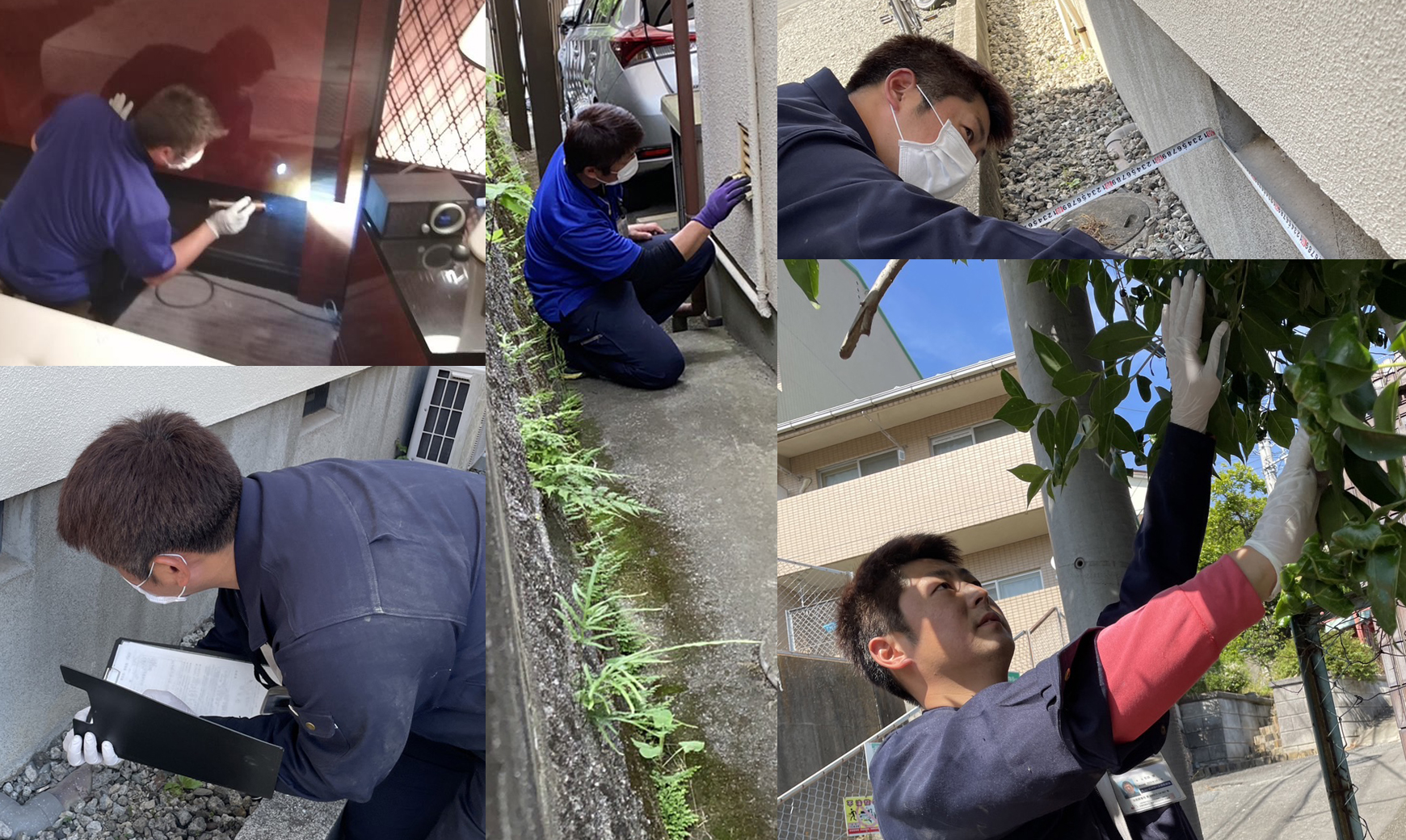 定期的な生息調査・維持、防除管理