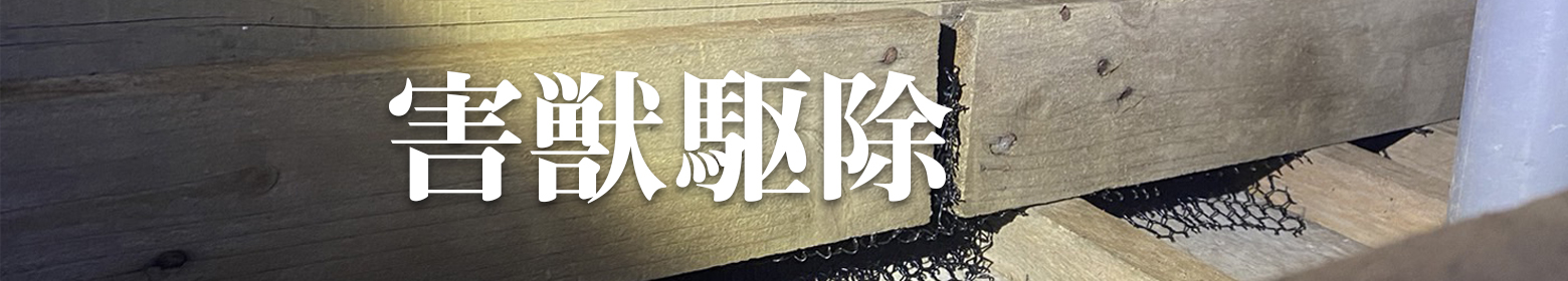 建物衛生リスクの害獣駆除