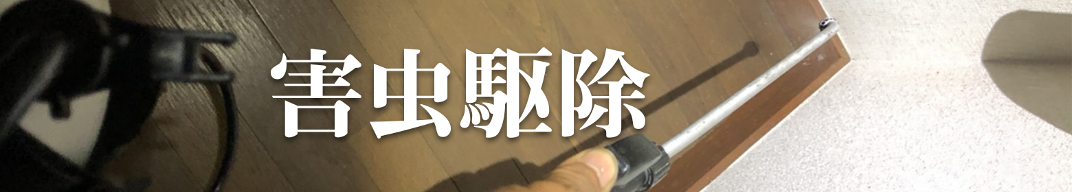 建物衛生リスクの害虫駆除