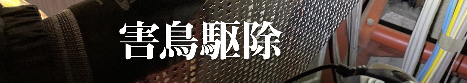 建物衛生リスクの害鳥駆除